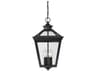 Savoy House Ellijay 4-Light Black Glass Lantern Pendant
