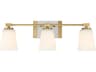 Savoy House Darby 3-Light Warm Brass Glass Vanity Light