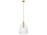 Savoy House Meridian 1-Light Natural Brass Pendant