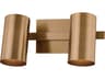 Troy Lighting Rueben 2-Light Patina Brass Vanity Light