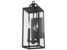 Troy Lighting Caiden 3 - Light Outdoor Wall Light