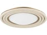 Troy Lighting Zion 1-Light Patina Brass White Glass LED Round Flush Mount
