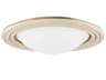 Troy Lighting Zion 1-Light Patina Brass Glass LED Flush Mount