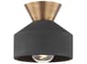 Troy Lighting Covina 1-Light Patina Brass Black Flush Mount