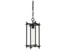 Troy Lighting Huck 1-Light Black Geometric Lantern Mini Pendant