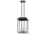 Troy Lighting Hart 4-Light French Iron Black Mini Pendant