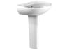 TOTO Supreme Oval Basin Pedestal Bathroom Sink with Cefiontect