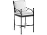 Tommy Bahama Outdoor Pavlova Aluminum Bar Stool with Cushion Set