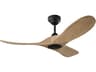 Visual Comfort Fan Maverick Smart 44" Ceiling Fan