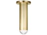 Visual Comfort Modern Ebell 1-Light Natural Brass Cylinder Flush Mount