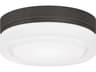 Visual Comfort Modern Cirque 1 - Light Outdoor Ceiling Light