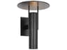 Visual Comfort Modern Ronan 2-Light Outdoor Wall Light