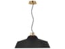 Visual Comfort Modern Forge 1-Light Black Natural Brass Pendant