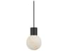 Visual Comfort Modern Mina 1-Light Black Mini Pendant
