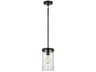 Visual Comfort Studio Zire 1-Light Midnight Black Cylinder Mini Pendant