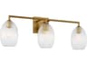 Visual Comfort Studio Serafina 3-Light Burnished Brass Vanity Light