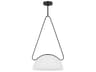 Visual Comfort Studio Nido 1-Light Midnight Black Pendant