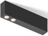 Vibia Offset 2-Light Black Linear Flush Mount