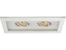 WAC Lighting 2-Light White Recessed Light