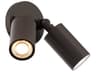 WAC Lighting Cylinder 2-Light Outdoor Spot Light