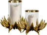 Worlds Away Sirius Small Palm Tree Hurricane in Brass Glass Candle Holder