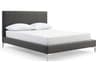Whiteline Modern Living Liz Dark Grey Silver Queen Platform Bed