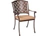 Woodard Casa Cast Aluminum Outdoor Patio Dining Arm Chair with Cushion