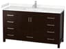 Wyndham Collection Sheffield 60" Espresso Vanity