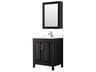 Wyndham Collection Daria 30" Dark Espresso Vanity with Medicine Cabinet