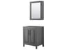 Wyndham Collection Daria 29" Dark Gray Vanity with Medicine Cabinet