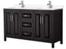 Wyndham Collection Daria 60" Dark Espresso Vanity