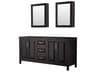 Wyndham Collection Daria 71" Dark Espresso Vanity with Medicine Cabinet