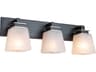 Artcraft Eastwood 3-Light Black Brushed Nickel Glass LED Vanity Light
