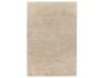 Chandra Osim Shag Area Rug