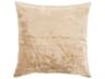 Chandra Beige Pillow