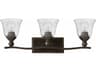 Hinkley Bolla Olde Bronze Glass Vanity Light