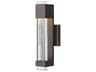Hinkley Glacier 1 Outdoor Wall Light
