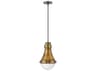 Hinkley Oliver 1-Light Heritage Brass Black Glass Bell Dome Mini Pendant
