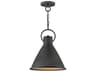 Hinkley Winnie 1-Light Aged Zinc Gray Bell Pendant