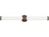 Hinkley Remi 1-Light Champagne Bronze Glass LED Vanity Light