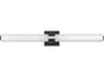 Hinkley Aiden Black White Glass LED Vanity Light