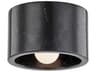 Hudson Valley Loris 1-Light Black Polished Nickel Drum Flush Mount