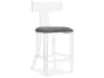 Interlude Home Tristan Upholstered Clear Nimbus Grey Counter Stool