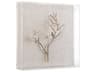 John Richard Silver Branches-III Shadow Box