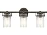 Kichler Brinley 3-Light Olde Bronze Glass Vanity Light