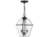 Livex Lighting Westover Black 2 - Light Outdoor Hanging Light