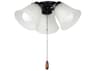 Maxim Lighting Basic-Max Fan Light Kit