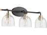 Quorum Espy 3-Light Noir Aged Brass Black Glass Vanity Light
