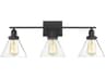 Savoy House Drake 3-Light Black Glass Vanity Light