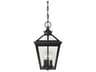 Savoy House Ellijay 3 - Light Outdoor Hanging Light